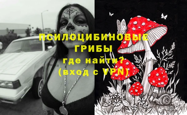 дурь Костерёво