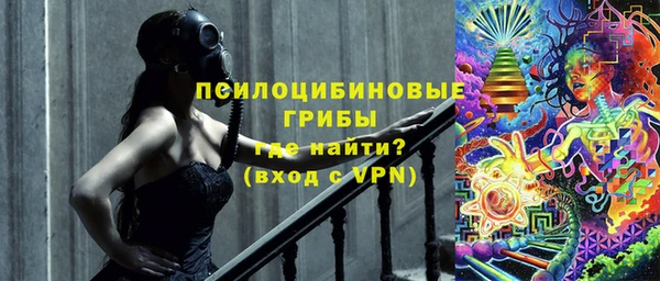 дурь Костерёво