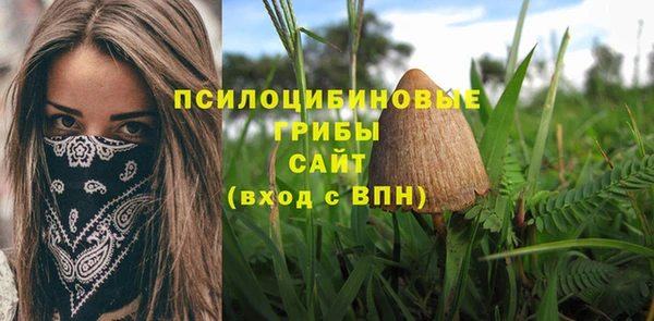 герыч Коряжма