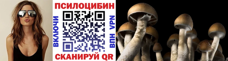 Купить где  Сортавала  Галлюциногенные грибы Psilocybe 